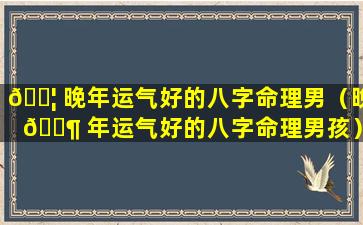 🐦 晚年运气好的八字命理男（晚 🐶 年运气好的八字命理男孩）